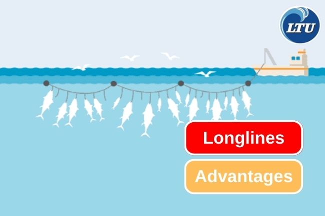 3 Advantages of Longlines as a Fishing Gear 